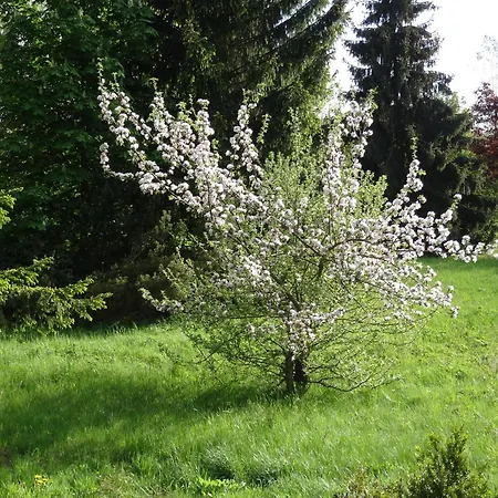 Heger * Bad Steben